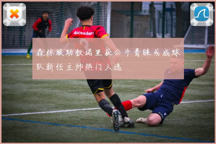 森林狼助教诺里获公牛青睐或成球队新任主帅热门人选